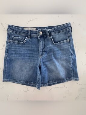 Pilcro and The Letterpress Anthropologie Denim Shorts Women’s 27 Stretch Shorts